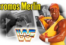 Cromos WWF Merlin
